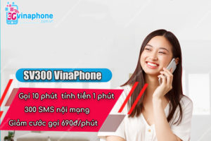 Đăng ký SV300 VinaPhone