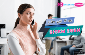 Cách hủy gói BIGKM 2GBN VinaPhone