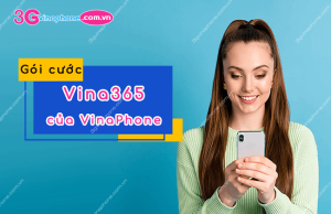 goi cuoc vina365 vinaphone