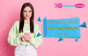 Gói cước giá rẻ 690 VinaPhone là gì