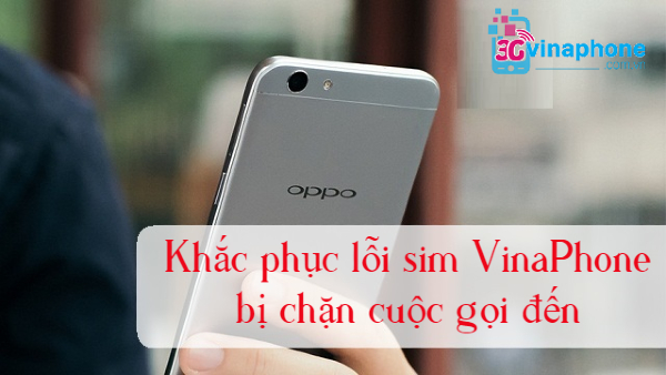 vi sao sim vina bi chan cuoc goi den chan cuoc goi den sim vinaphone