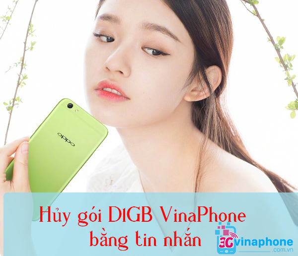 huy d1gb vinaphone nhu the nao huy d1gb vinaphone