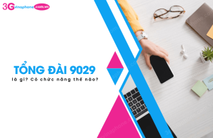 tong dai 9029 la gi