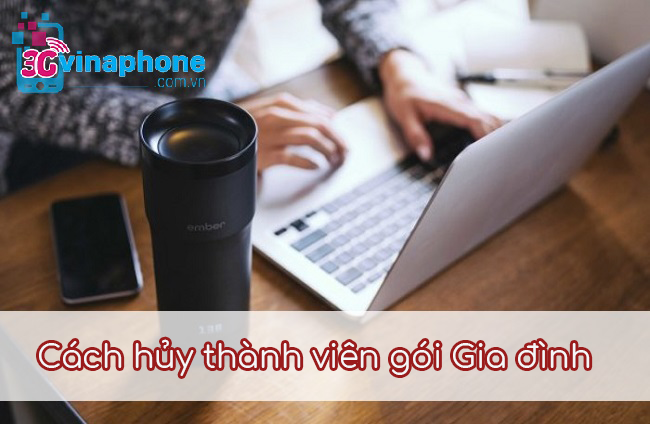 Cách hủy thành viên gói Gia đình VinaPhone