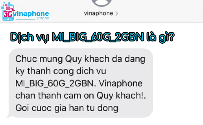 Dịch vụ MI_BIG_60G_2GBN của VinaPhone