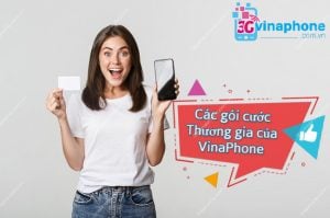 các gói cước Thương gia VinaPhone