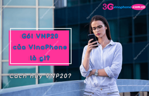 goi cuoc vnp20 cua vinaphone