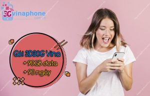 goi cuoc 3d30g vinaphone