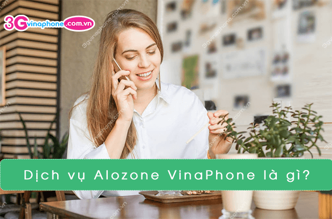 Cách đăng ký và sử dụng gói vip ngày của vinaphone là gì và những ưu đãi đi kèm