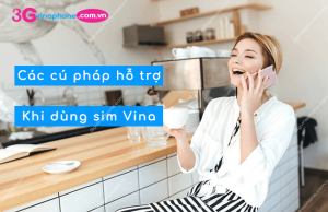 cac cu phap ho tro khi dung sim vinaphone