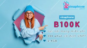 gói cước b100k vinaphone