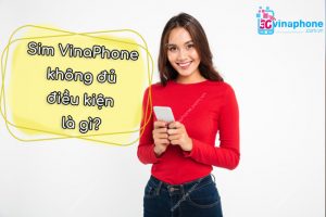 Sim VinaPhone không đủ điều kiện