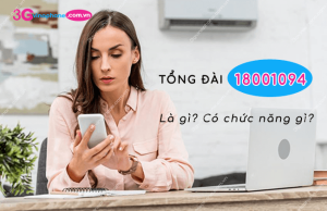 tong dai 18001094 vinaphone