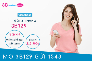 goi 3b129 vina