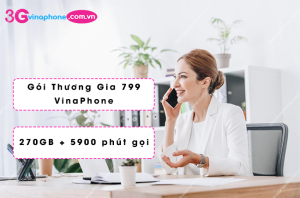 goi thuong gia 799 vinaphone