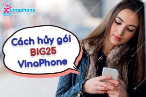 hủy gói BIG25 VinaPhone