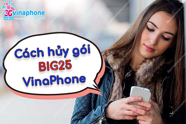 huy goi BIG25 VinaPhone nhu the nao hủy gói BIG25 VinaPhone