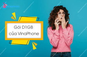 goi d1gb vinaphone