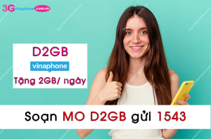 goi d2gb vinaphone