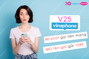 goi cuoc v25 vinaphone