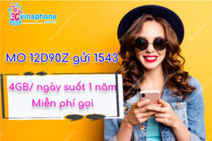 Đăng ký 12D90Z VinaPhone