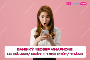 dang ky goi 12d89p vinaphone