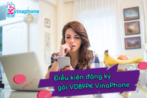 đăng ký VD89PK Vina