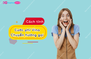 cach tinh phi chuyen huong cuoc goi vinaphone