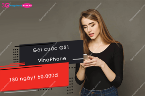 goi cuoc gs1 vinaphone