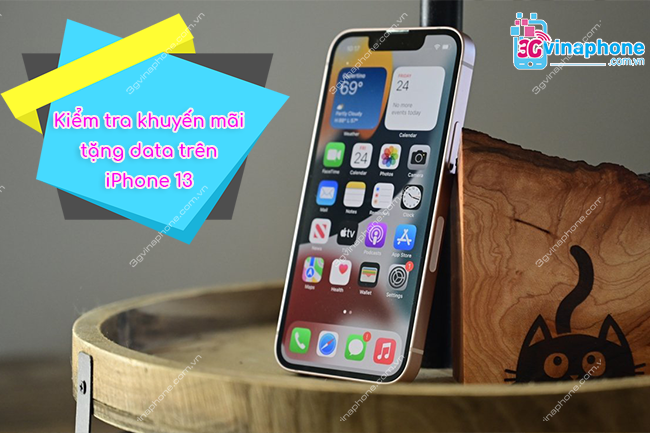 Kiểm tra khuyến mãi data trên iPhone 13