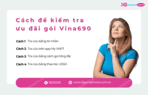 kiem tra uu dai sim vina 690