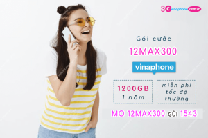 goi cuoc 12max300 vinaphone