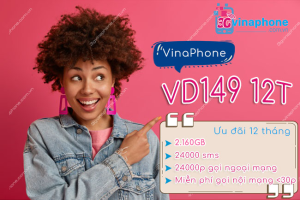 gói vd149 12 vinaphone