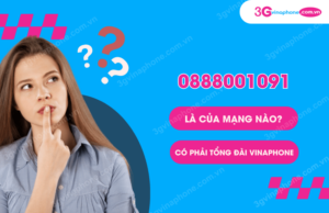 so 0888001091 la cua mang nao