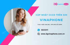 cap nhat cccd tren sim vinaphone chinh chu