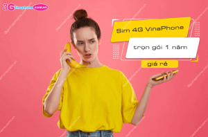 sim 4g vinaphone 1 nam