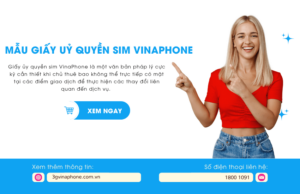 mau giay uy quyen sim vinaphone