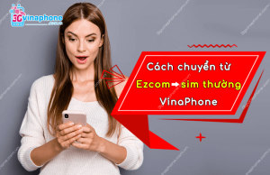 cach chuyen tu ezcom sang sim thuong vinaphone