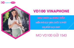 goi vd100 vinaphone