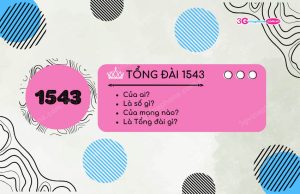 Tong dai 1543