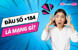 dau so 184 la mang gi