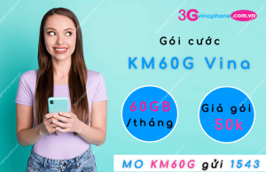 Gói cước KM60G VinaPhone