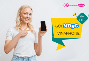 goi cuoc md5g vinaphone