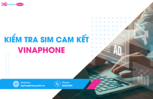 kiem tra sim cam ket vinaphone