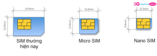 cac loai phoi sim