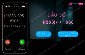 dau so +1888 la o dau