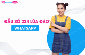 dau so 234 lua dao whatsapp