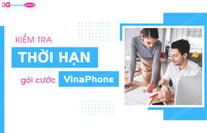 kiem tra thoi han goi cuoc vinaphone