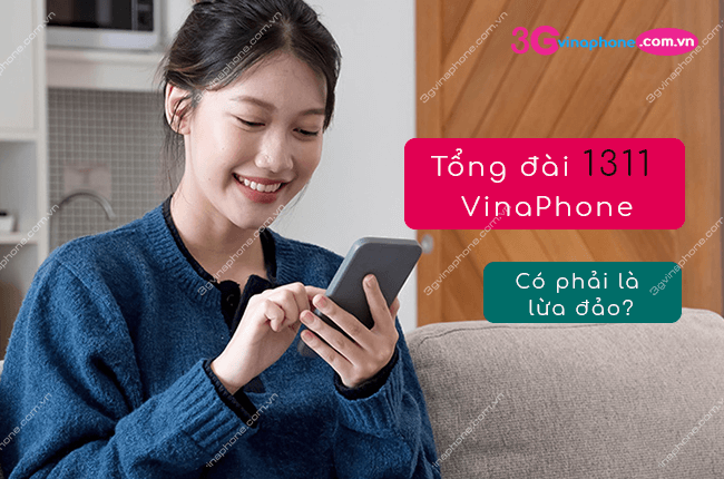 tong dài 1311 vinaphone