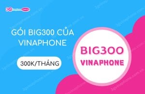 Goi BIG300 cua VinaPhone